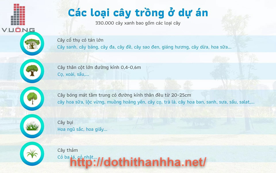 cay-xanh-trong-tai-thanh-ha