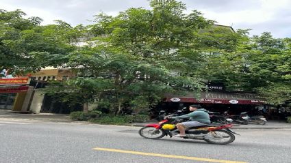 Cho thuê Liền kề Văn Phú LK20B diện tích 99,92m2 mặt tiền 5m hướng Đông Nam đường 19,5m nhà hoàn thiện điện nước đầy đủ ngay gần Lotte #H5295.458